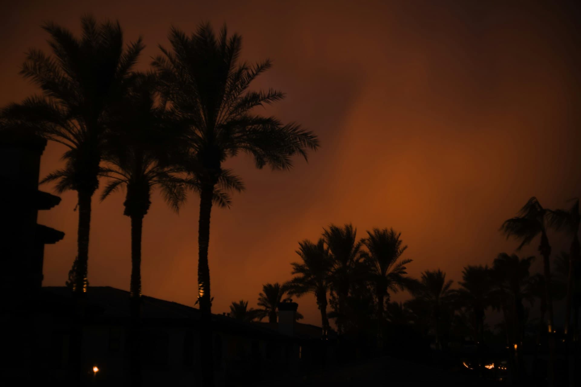 Arizona palm trees and buildings silhouetted against dramatic orange sunset sky