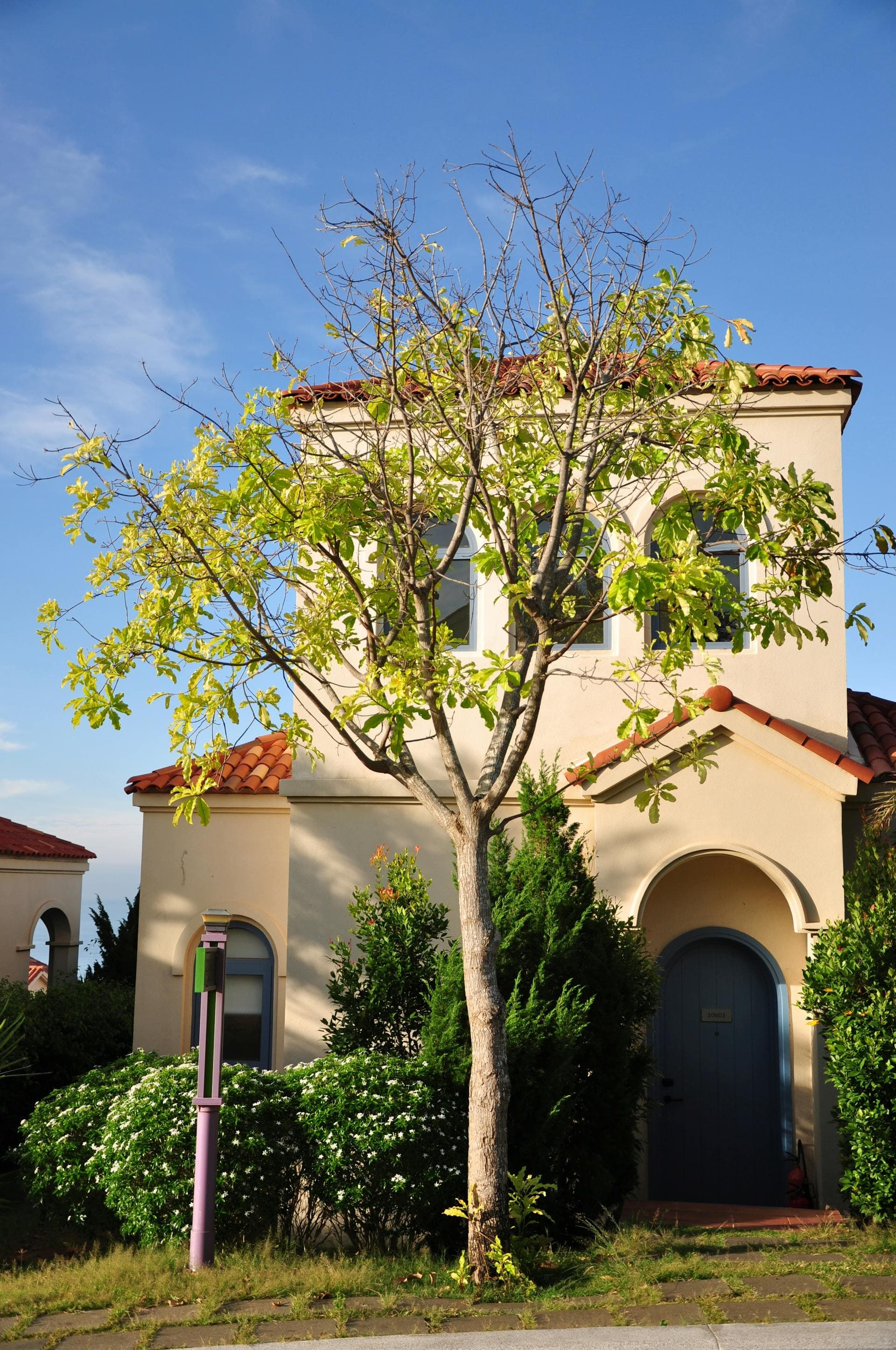 Mediterranean-style home with red clay tile roof and lush greenery typical of South Florida