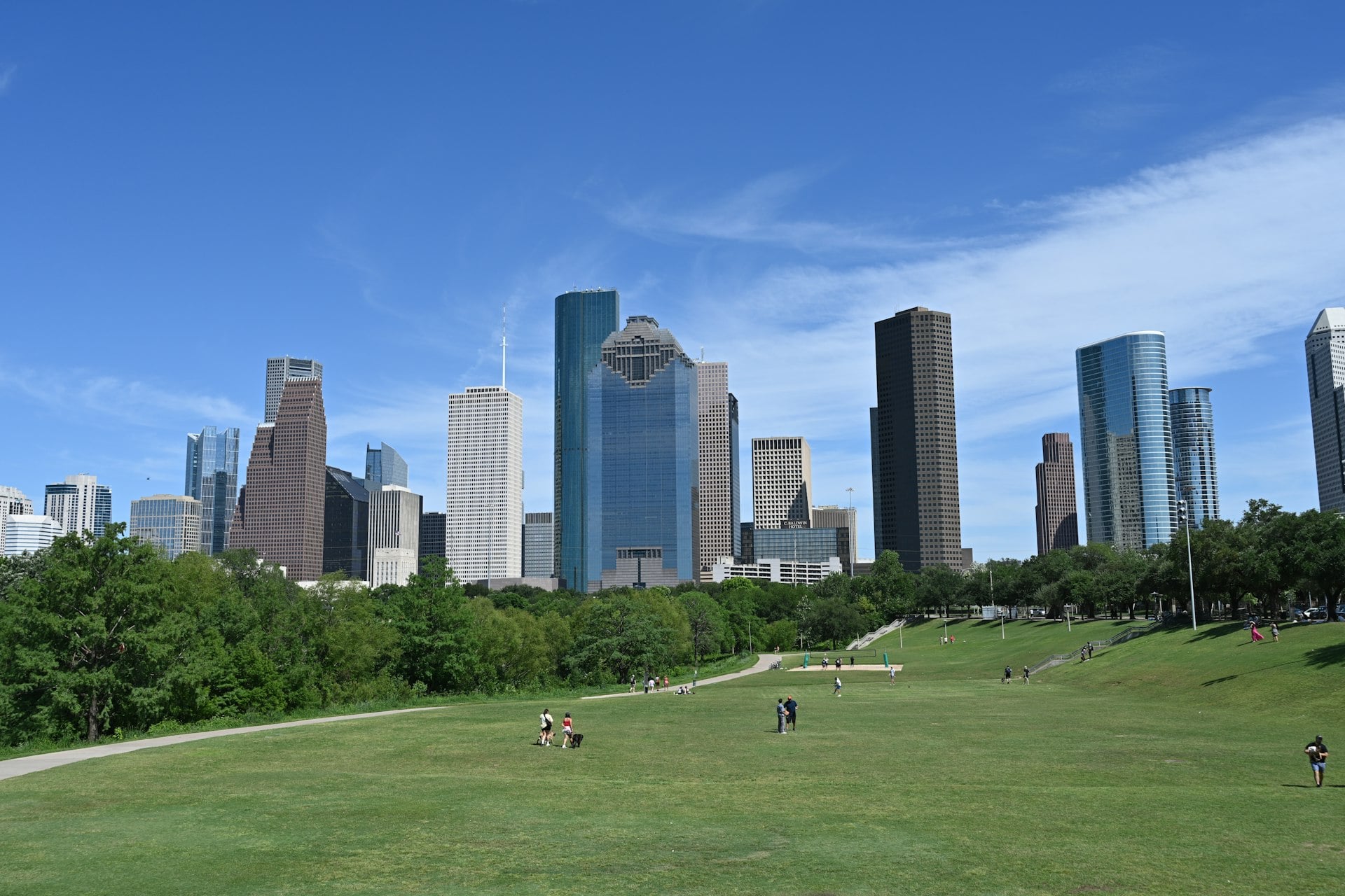 Houston Texas downtown skyline viewed from park on sunny day