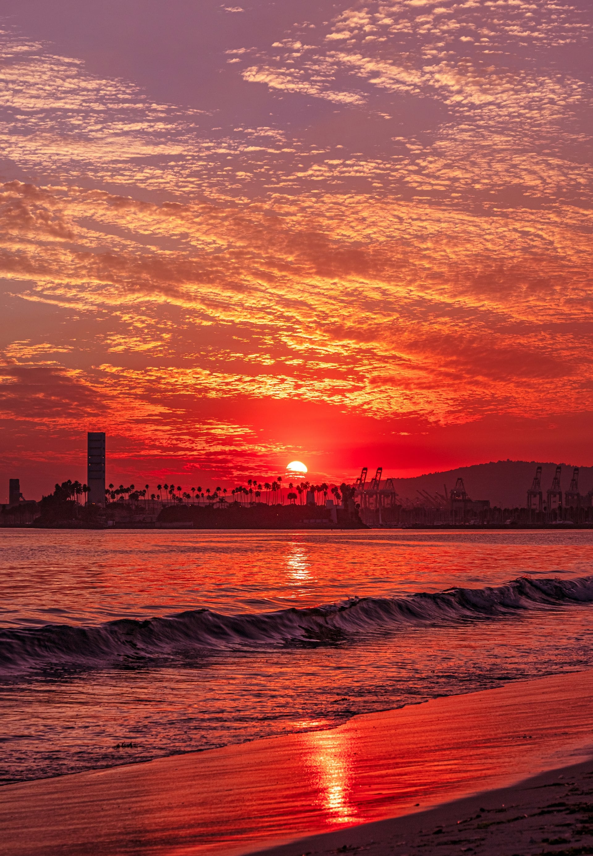 Long Beach California skyline silhouette at sunset with port cranes visible