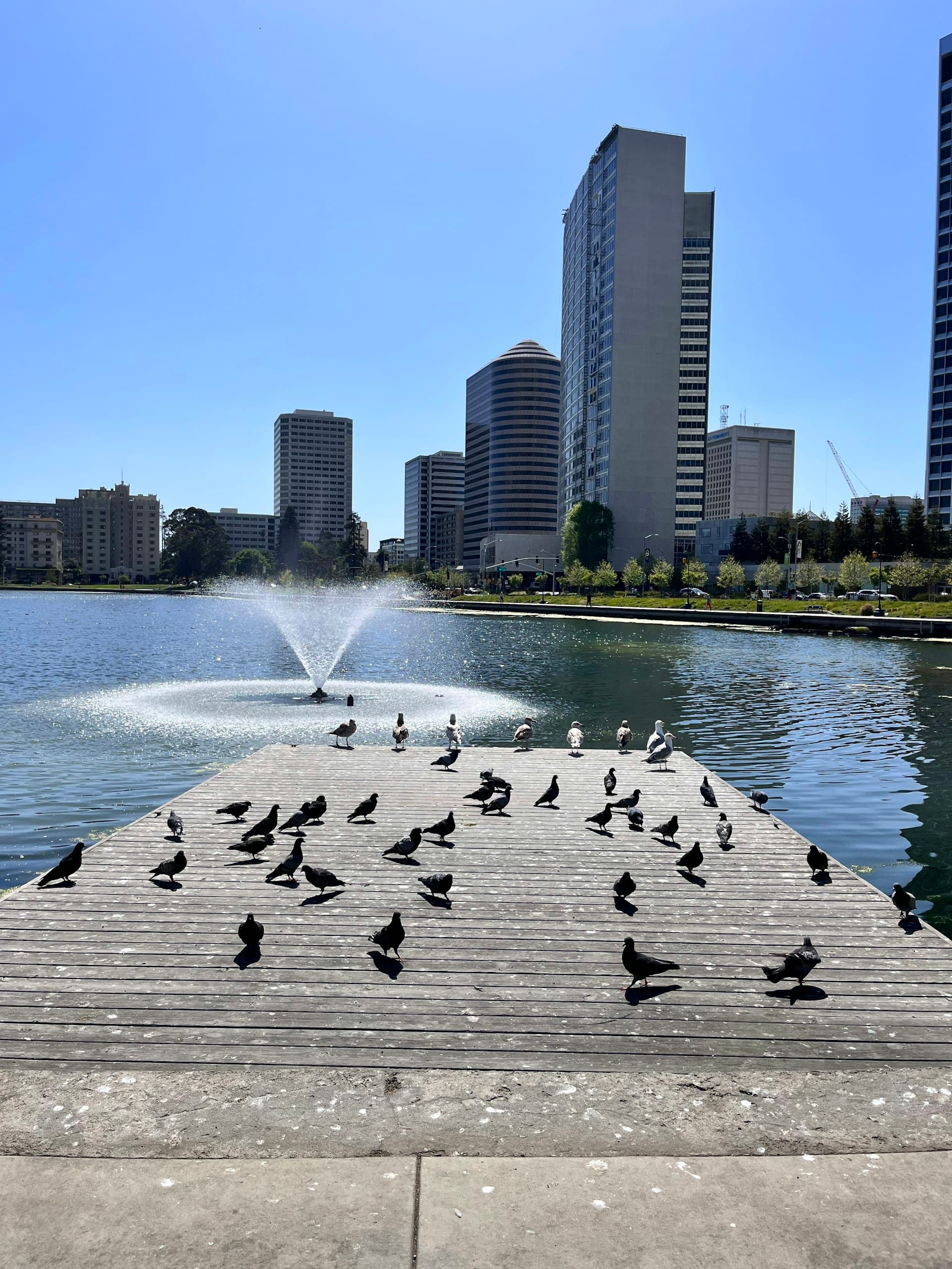 Lake Merritt fountain with Oakland downtown buildings in background