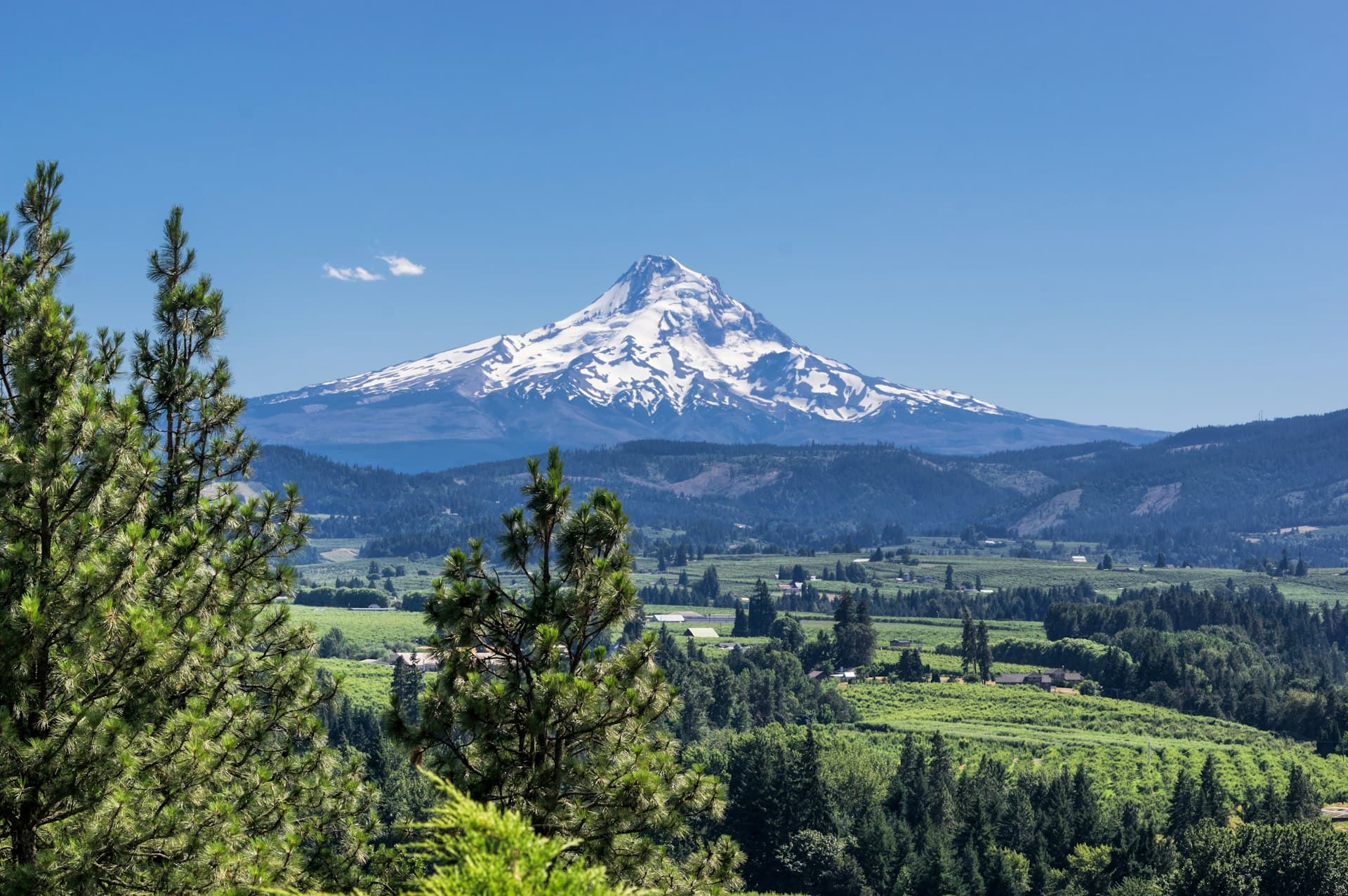 Mount Hood Oregon with snow-capped peak and green valley in foreground