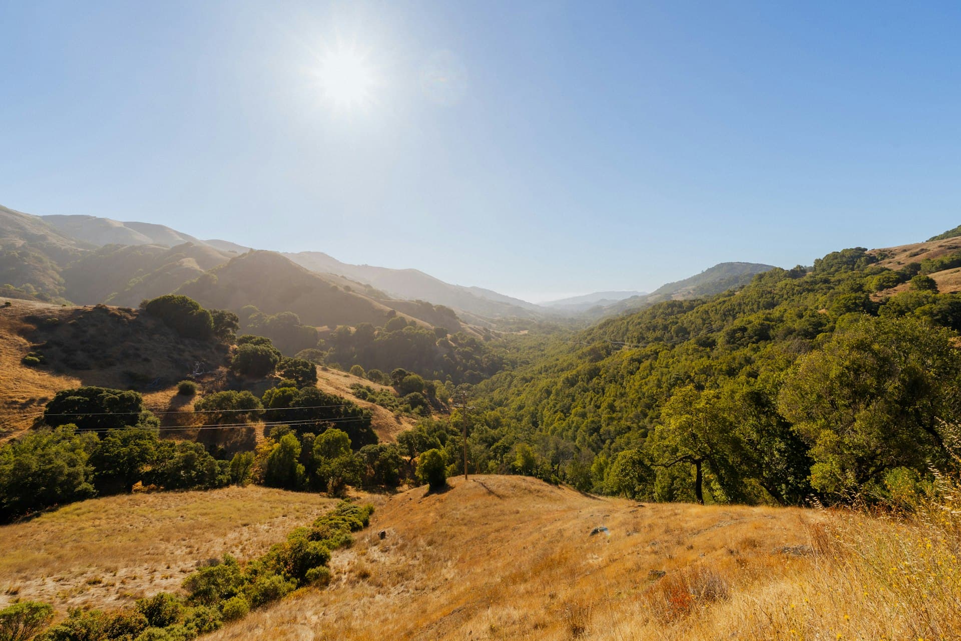 California golden hills under intense summer sun representing Sacramento's hot dry climate