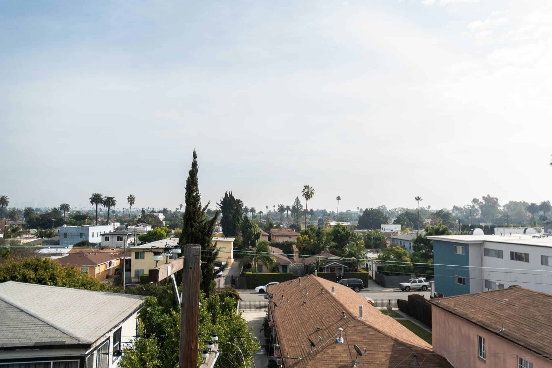 California suburban neighborhood with palm trees and residential rooftops