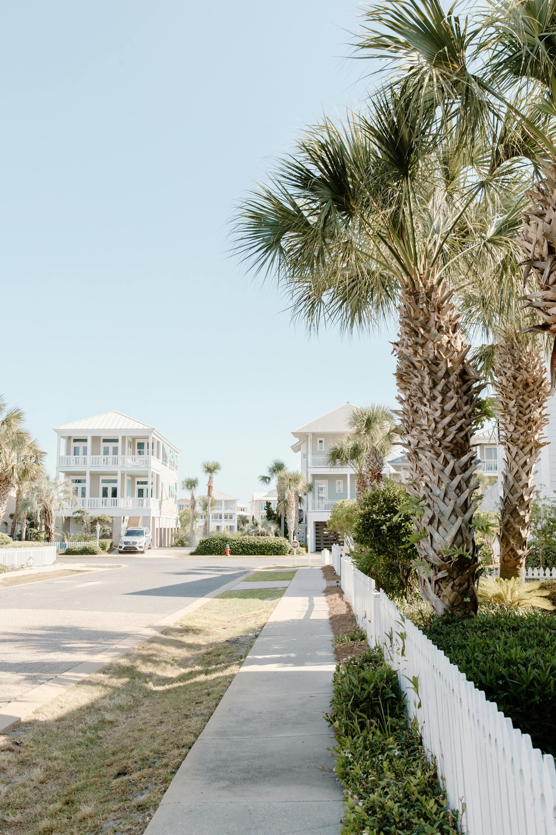 Florida coastal neighborhood sidewalk with palm trees and beach homes